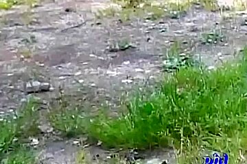 Public downblouse compilation with skinny oriental chicks being caught on tape