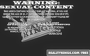 RealityKings - Euro Sex Parties - James Brossman Sophie Lynx Vanda Lust Euro Se - Licking And Sticking