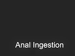 Red Wine Enema and