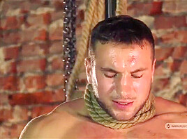 Resale Of Bodybuilder Roman Final With Suggest Model