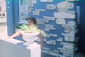 Retro Shemale Porn