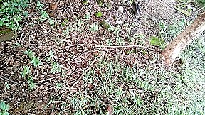 Risky Public Outdoor Sex In Jungle