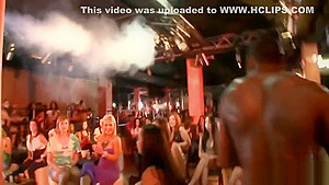 Sensational pecker sucking party