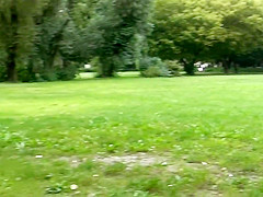 Sex in the park