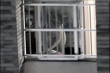 Sexy naked neighbor is staying in front of the open window