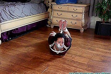 Site Chanellcelsiustoehogtiecustom