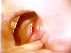 Softcore Nudes 512 1960's - Scene 4