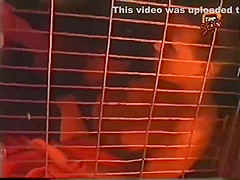 Spanks Her Two Lesbian Slaves 2 With Mistress Vixen