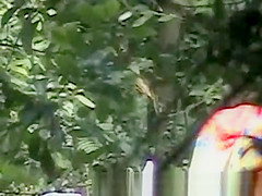 Spying couple fuck