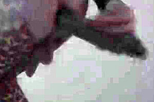 Stacy Leopard Leggins Solo Play With Brown Dildo