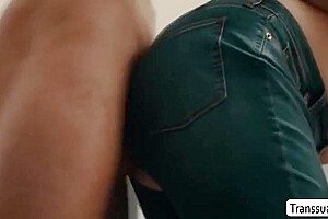 Stunning Shemale Blonde Bareback Fucked By Perv Stepfather With Ivory Mayhem