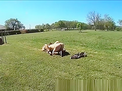 Submissive mature whore used by young  Amateur older