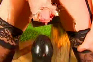 Superb Cumshots Collection