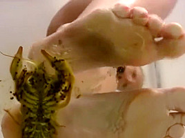 Susan crawdad on glass