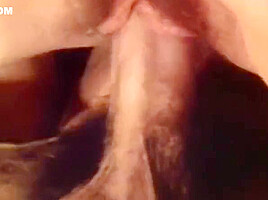 Swedish Erotica 290 - Erotic Exotic Machine 2 (Seka)