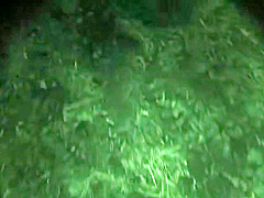 TJC972-VHEEPKVWNG918453274