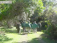Tattooed Army Jock Fucks Bottoms Asshole Outdoor After Bj