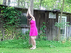 Tied To A Tree