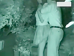 Two couples making love outside