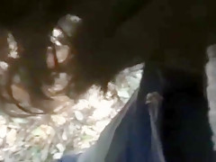 Une petite ballade dans les bois....