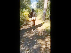 Une petite ballade dans les bois....