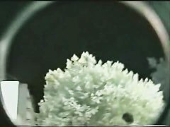 Upskirt video of a woman in white things on the nighttime streets