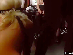 Very Busty Bombshells Made To Crawl In Public - Layla Pryce And Manu Magnum