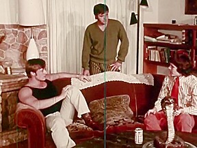 Vice Versus Vice (1971) 2of2