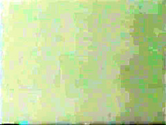 Vintage Ebony Interracial Hardcore VHS Gangland White Boy Stomp Vol 13