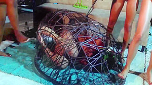 Watch As We Tie Her Up And Bully Her