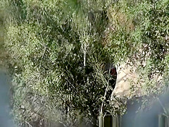 Woman caught pissing in the nature