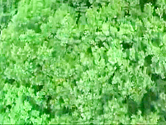 XOA973-BSDEONLSRL255108038