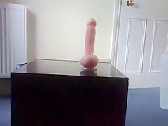 fresh sex-toy in undies