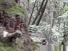 fuck in korean park