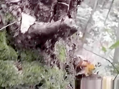 fuck in korean park