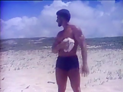 muscle beach