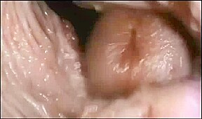 ourney to the Inside of the Pussy