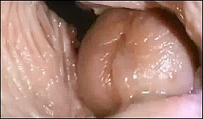 ourney to the Inside of the Pussy
