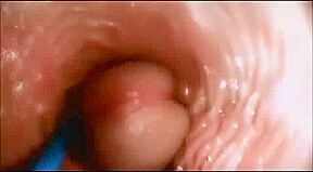 ourney to the Inside of the Pussy