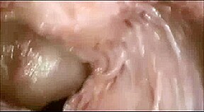 ourney to the Inside of the Pussy