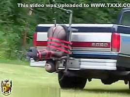 pick-up truck 1