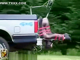 pick-up truck 1