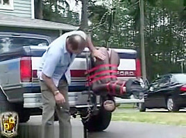 pick-up truck 1