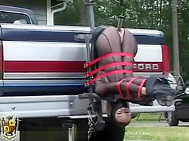 pick-up truck 1