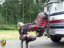 pick-up truck 1