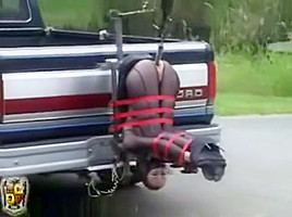 pick-up truck 1