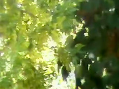 sunbathing,